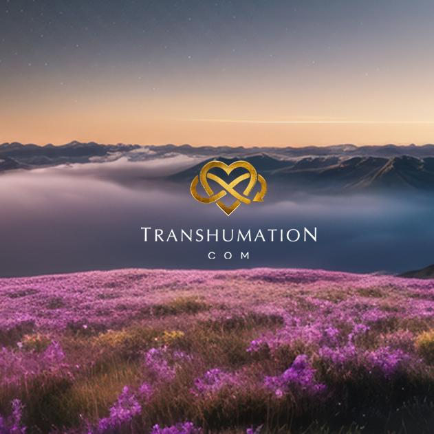Transhumanism as Religion: VR Soul, Immortality and Digital Heaven