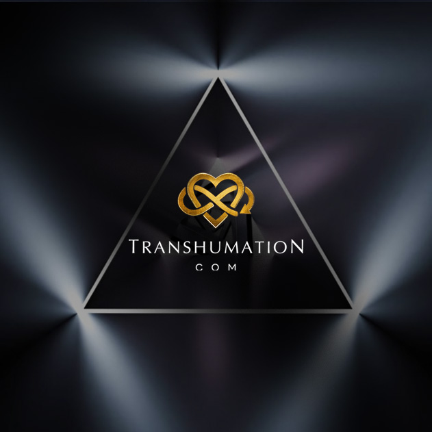 Is Anything Truly Random? The Illusion of Chance