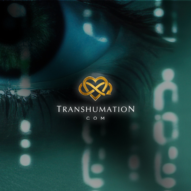 What Is the Self? You Were Never Fixed