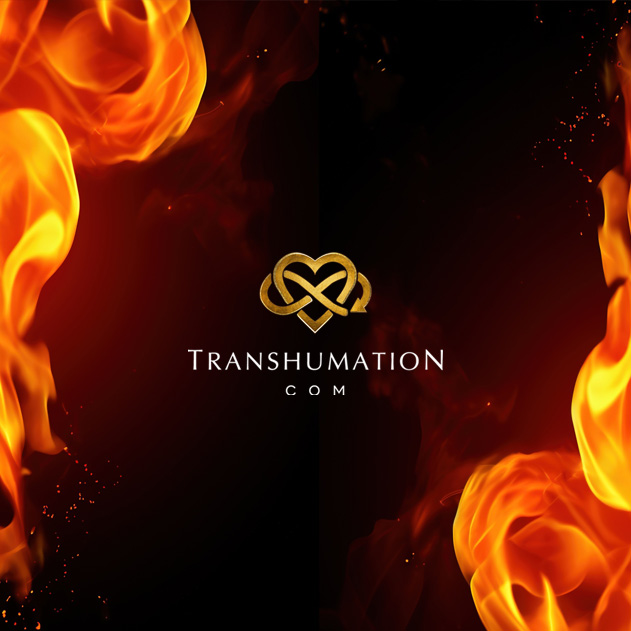 End of Failure – You Never Know When You Change the World