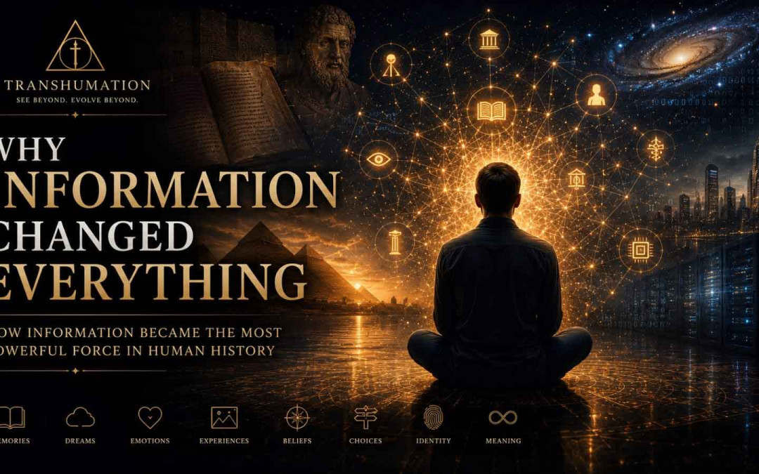 Why Information Changed Everything